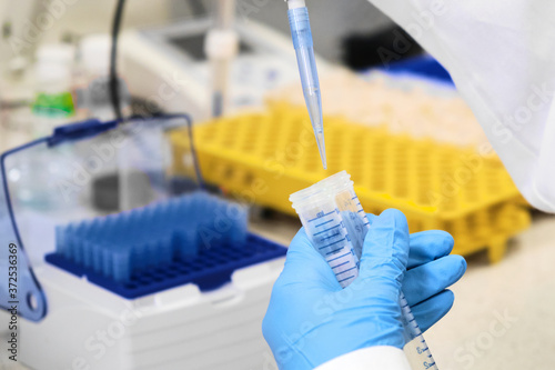 Chemist or scientist in a blue rubber gloves collecting samples from falcone tubes using automatic pipette. Rack with the test tubes on the background. Research laboratory. Developing of