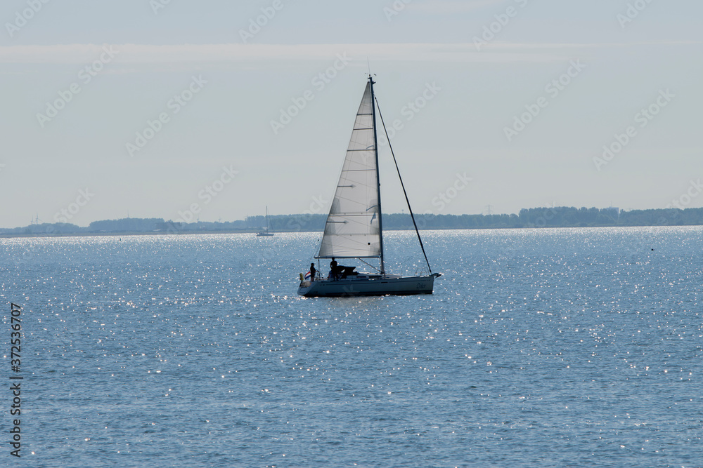Sailing Boat At The IJsselmeer The Netherlands 6-8-2020
