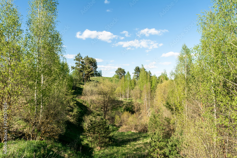 Hills and lowlands of European nature. Dense thickets of trees and bushes. Wildlife forest landscape on summer sunny day Hills and lowlands of European nature. Dense thickets of trees and bushes. Wildlife forest landscape on summer sunny day