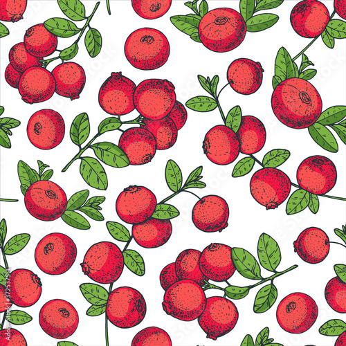 Seamless pattern with cranberries berry. Hand drawn background. Colorful cranberry illustration. Vector illustration.