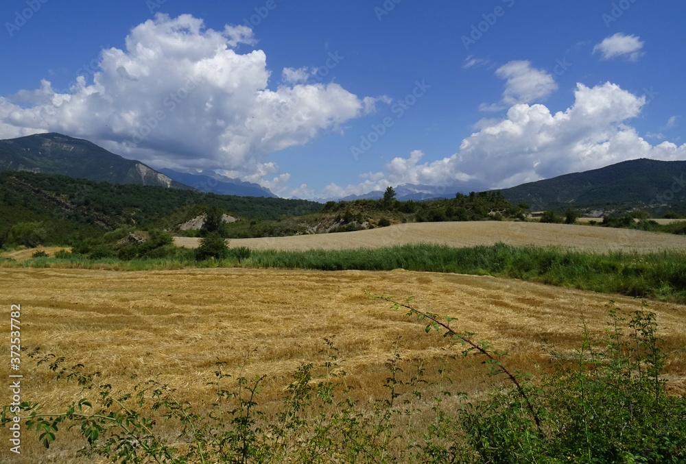 Fototapeta premium Summer landscape with wheat field and the Pyrenees Mountains in the rear from the village of Isún de Basa. Valley of the Aragón River. Spain. 