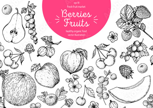 Berries and fruits drawing collection. Hand drawn berry sketch. Vector illustration. Blueberry, raspberry, strawberry, apple, lingonberry, peach, apricot, cranberry, slice of melon