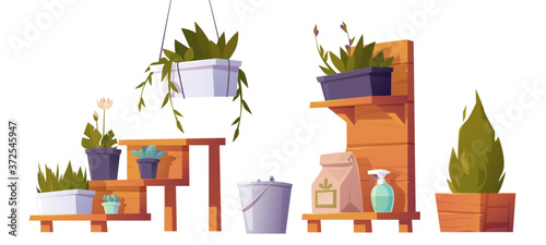Green plants in pots on wooden stand for greenhouse. Vector cartoon set of flowers, succulents and plants for hot house, bucket and sprayer bottle. Glasshouse equipment isolated on white background