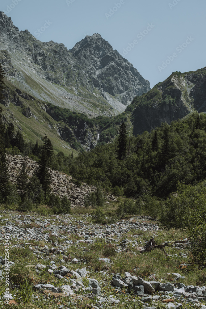 Fototapeta premium mountain river in the mountains