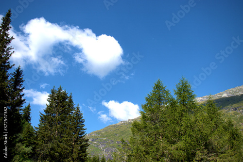 Landschaftsidylle in Zerfreila in der Schweiz 31.7.2020 photo