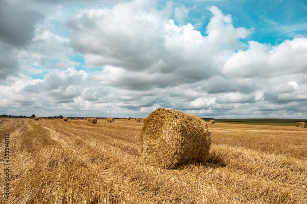Summer field roll agriculture cultivated hay bale sky clouds land