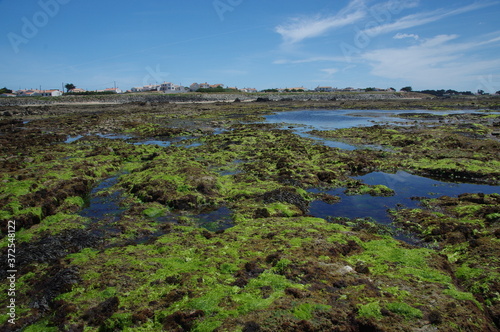 plage de l'herbaudière