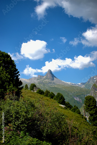Zerfreilahorn in der Schweiz 31.7.2020