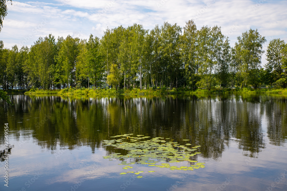 lake in forest