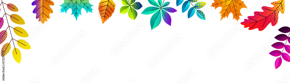 Parts of autumn leaves on white background.