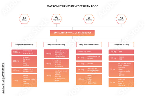 Chart of the nutrients, vitamins and minerals in vegetarian food.