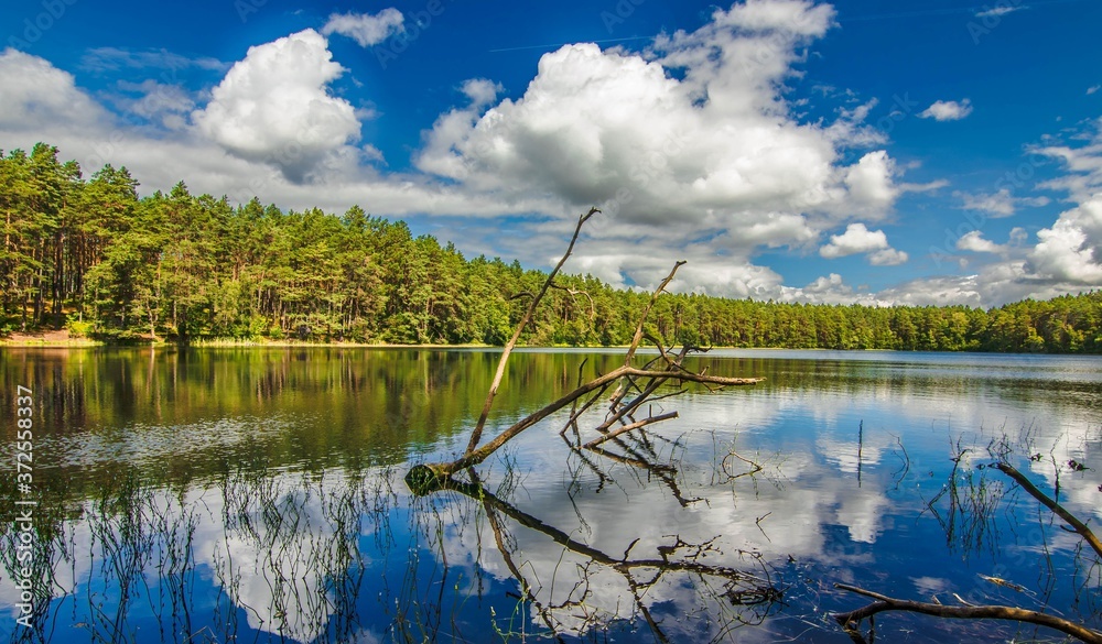 Poland... Lato... Summer...