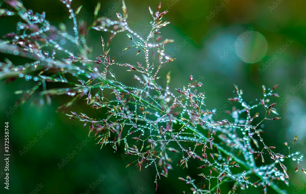 Poland... Lato... Summer...
