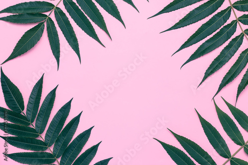 Pink background with green leaves, summer frame, tree branches, minimalist design, mockup. Invitation card, place for text, copy space. Creative wallpaper with leaf pattern.