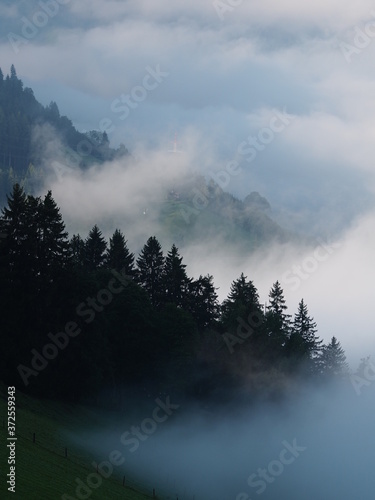 fog in the mountains and silhouettes of the trees