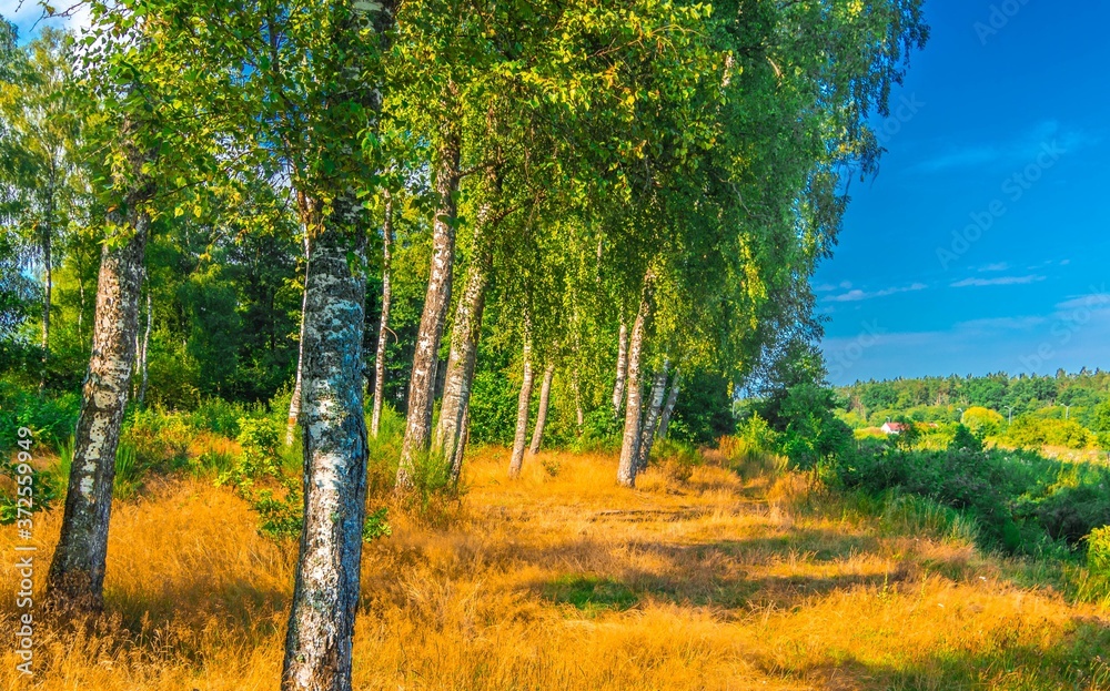 Poland... Lato... Summer...