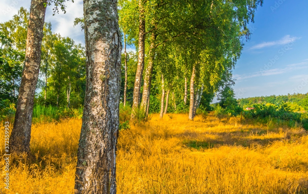 Poland... Lato... Summer...