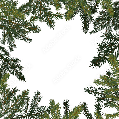 Square frame of spruce twigs. Vector illustration