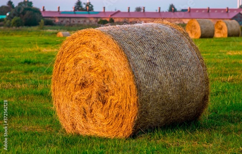 Poland... Lato... Summer...