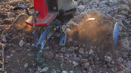 Tilling a vegetable garden with a rototiller in the spring instead of plughing photo