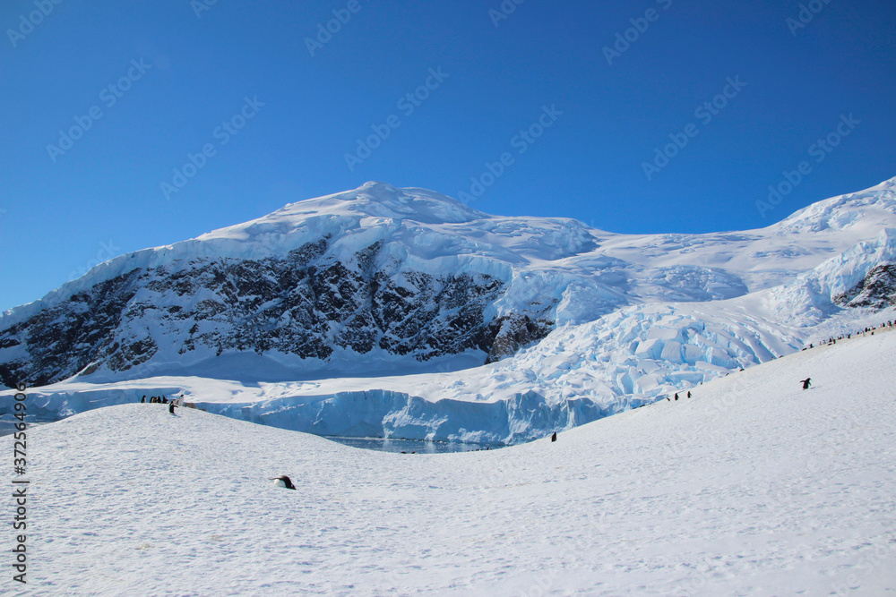 Gletscher in Antarktis - Eisberge und Schnee