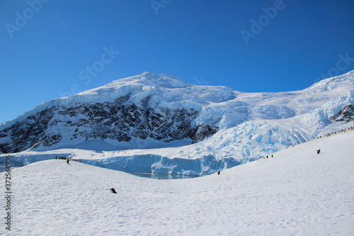 Gletscher in Antarktis - Eisberge und Schnee © Claudia