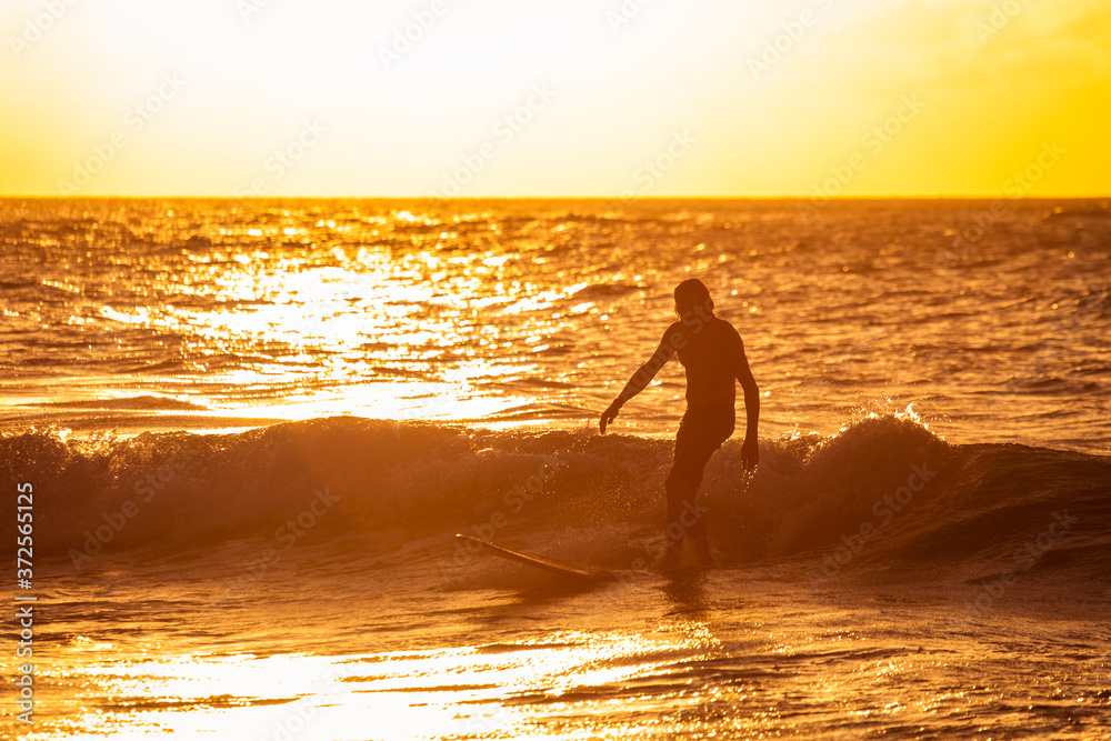 Surfer at the sunset light at the paradise beach in Las Terrenas, Samana, Dominican Republic