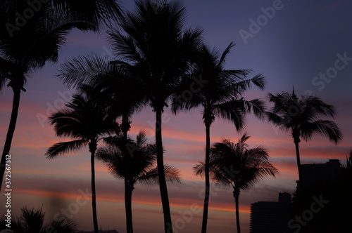 atardecer con palmeras © Montse
