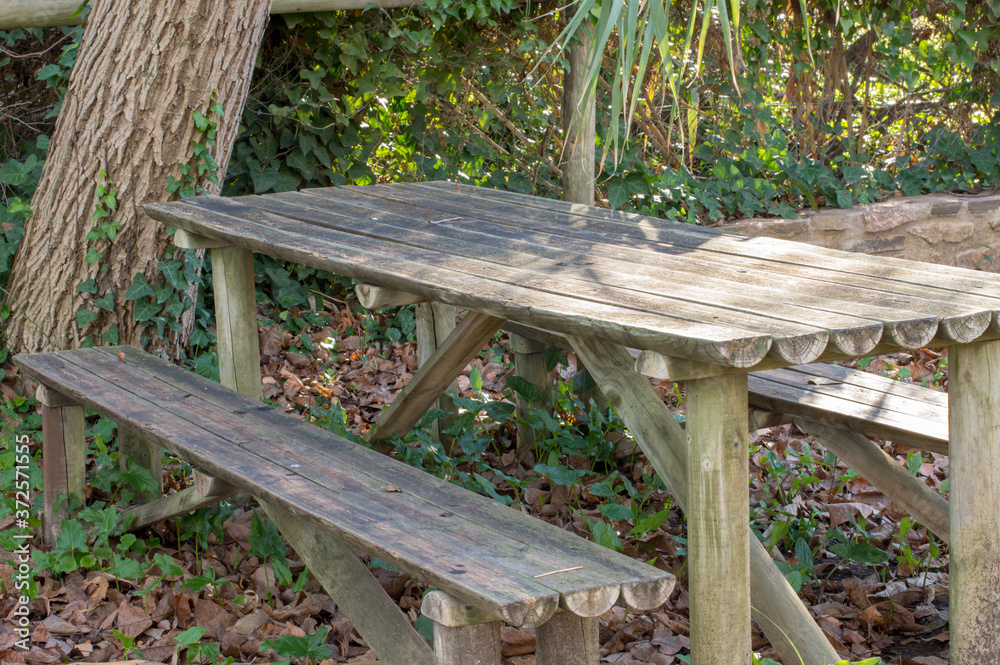Naklejka premium Banco y mesa de madera en el campo