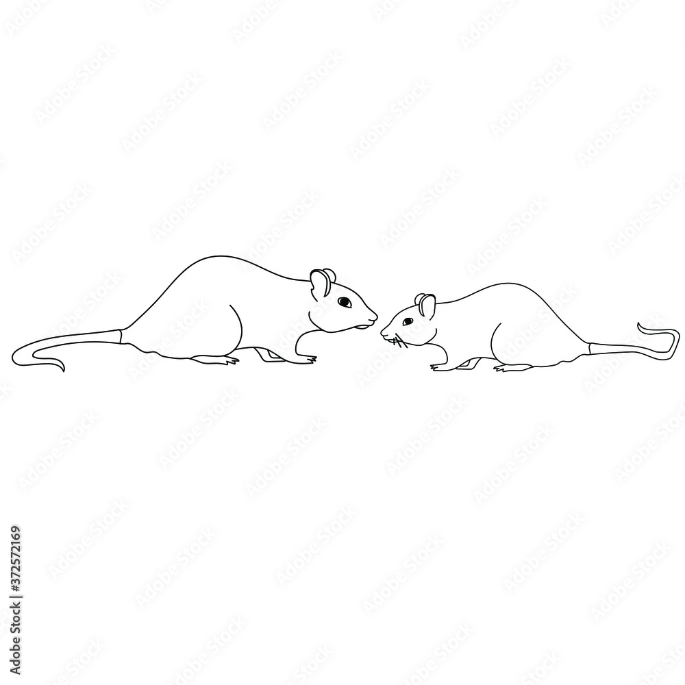 Two outline rats, animal coloring page, zoology educated card, vector ...