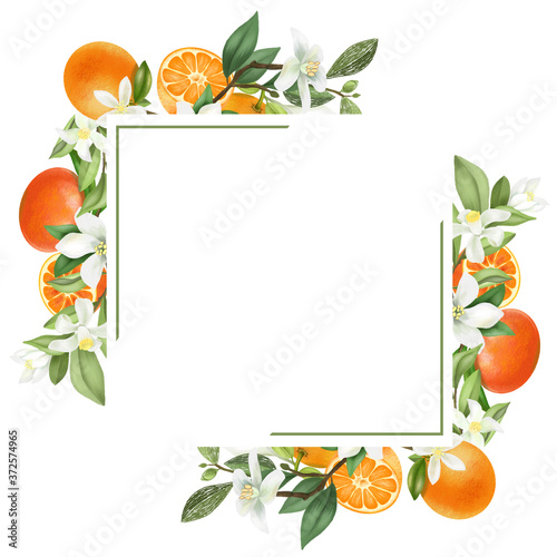 Frame of hand drawn blooming mandarin tree branches, mandarin flowers and mandarins, isolated illustration on a white background