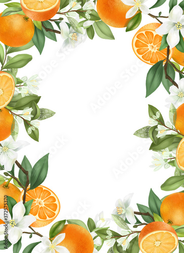 Card template, frame of hand drawn blooming oranges tree branches, flowers and oranges on white background photo