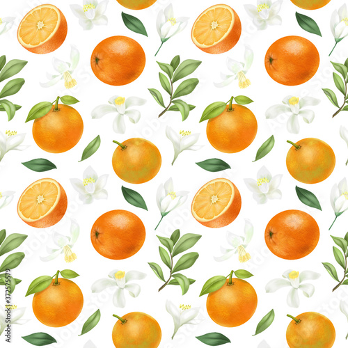 Seamless pattern with hand drawn oranges and orange flowers on a white background