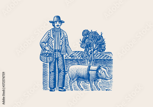 Hog and farmer for locating truffles mushrooms. Domestic pig . Engraved hand drawn vintage sketch. Woodcut style. Vector illustration.