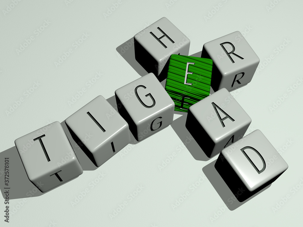 TIGER HEAD crossword by cubic dice letters, 3D illustration for animal and background TIGER HEAD crossword by cubic dice letters, 3D illustration for animal and background