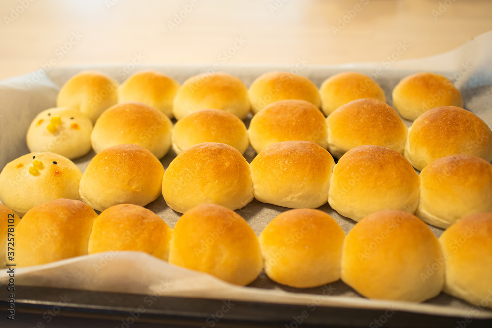 家庭で作った手作りのパン 家庭で作った手作りのパン
