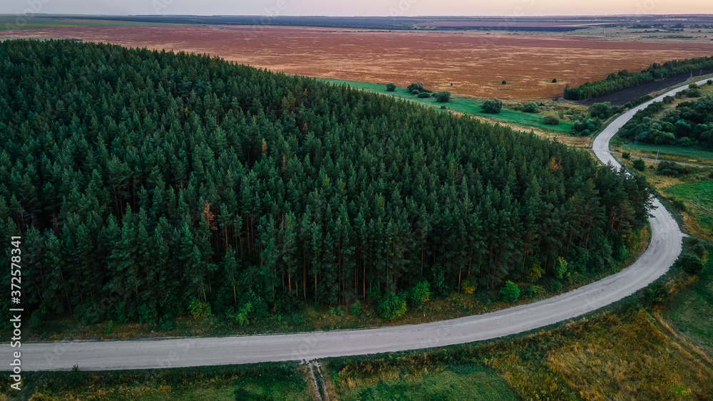 green forests in a Russian village in summer.aerial photography