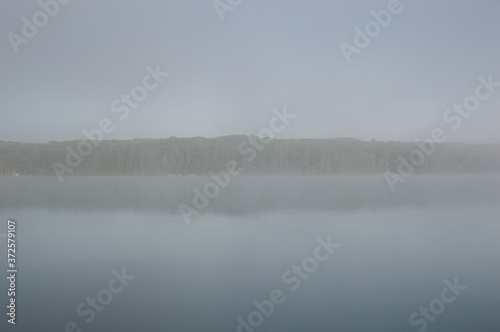 Tree horizon across the lake in fog