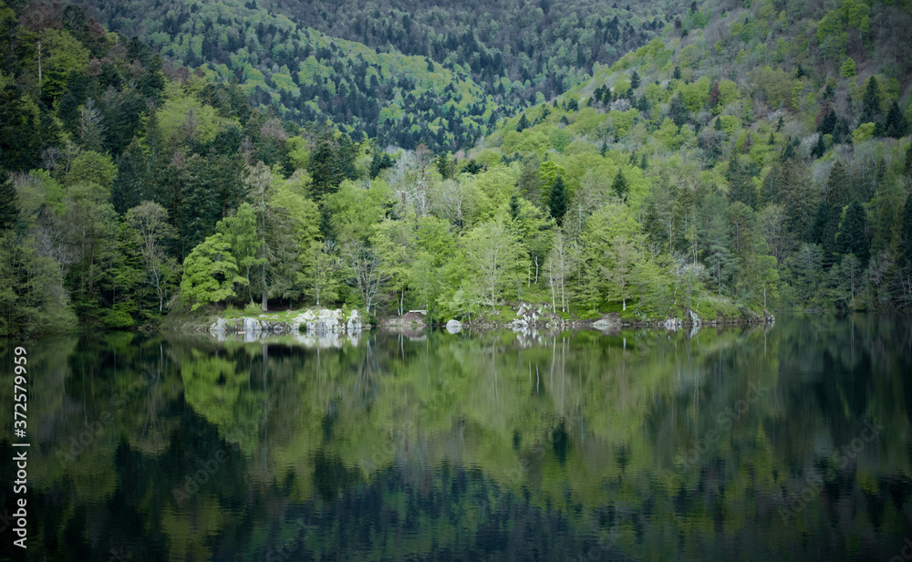 Small island on a mountain lake. Green trees are reflected in the water. Small island on a mountain lake. Green trees are reflected in the water.