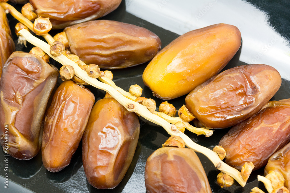 dátiles desecados en rama en un platillo sobre fondo blanco Stock Photo ...