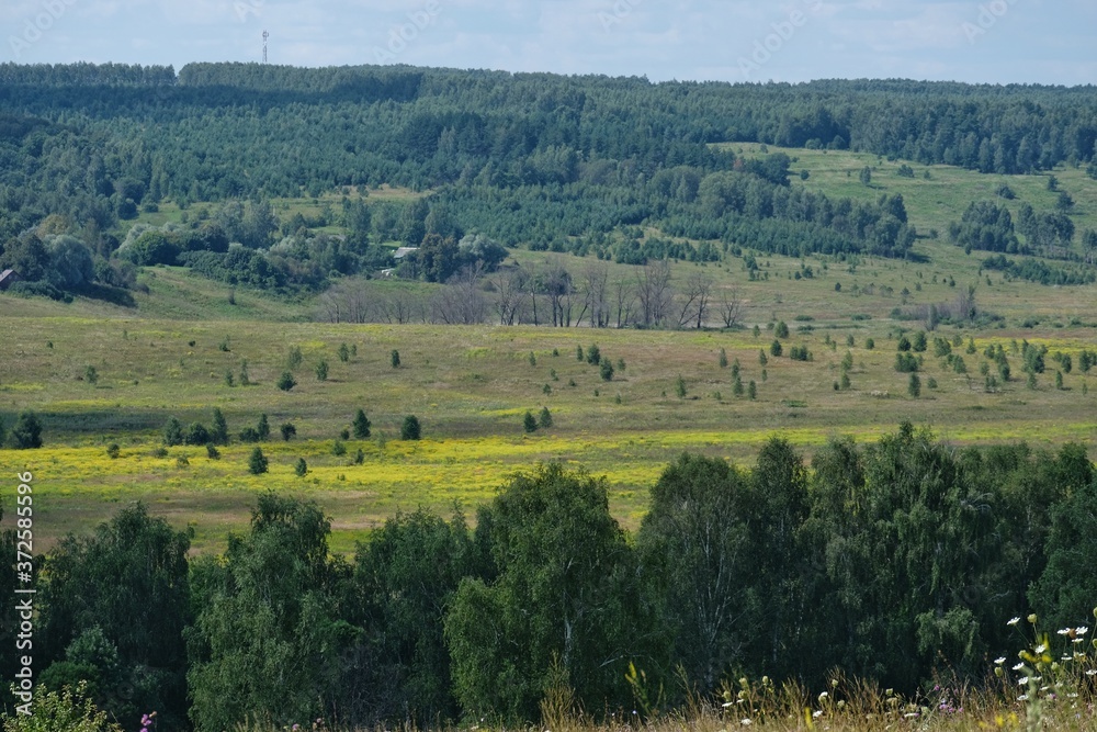 summer green landscape in Russia.