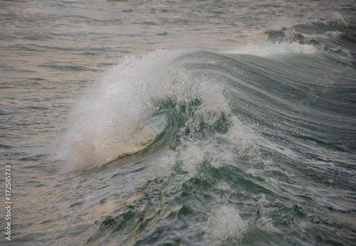 Cresting, curling ocean wave