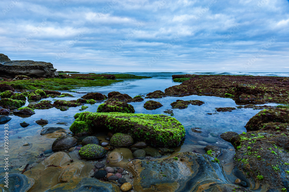 The early morning low tide exposes the California reef.