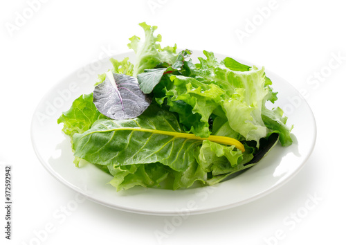 Bilde på lerret Various salad leaves on a plate