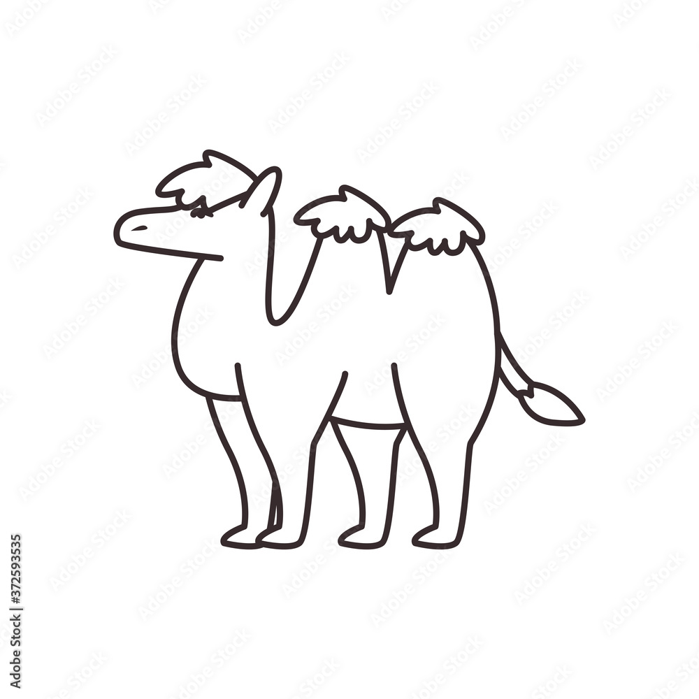 Cute camel line style icon vector design