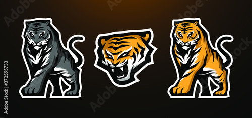 tiger animal mascot vector illustration logo