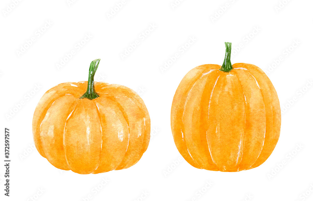 Fototapeta premium Two orange autumn pumpkins isolated on white background. Watercolor hand-drawn illustration. Perfect for your project, greeting cards, prints, covers, patterns, invitations, menu, logo.