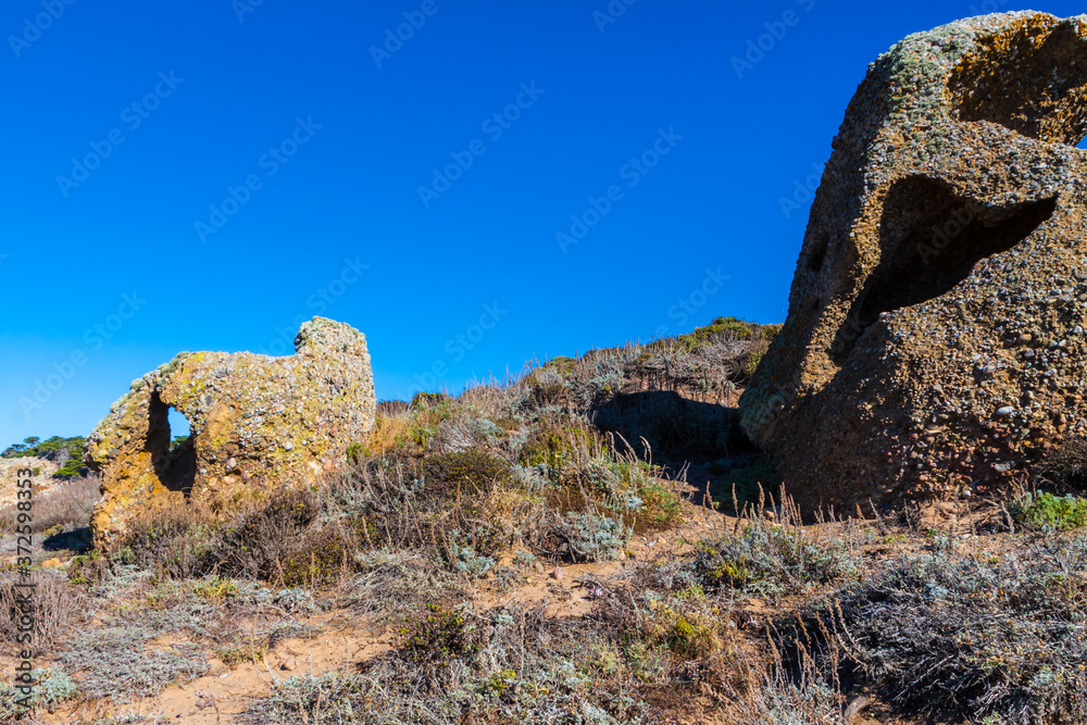 Sandstone and Conglomerate Beds of The Carmelo Foundation on  Sea Lion Point, Point  Lobos, State Natural Reserve, Big Sur, California, USA