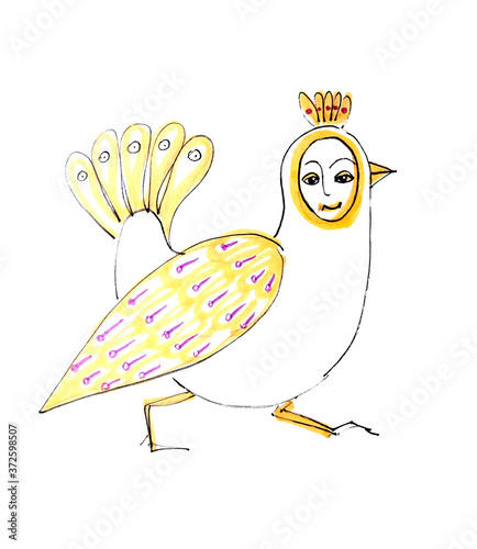 bird with a female face, graphic color drawing on a white background photo