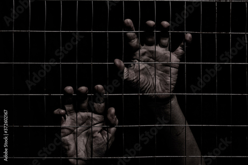 female hands behind a fence made of mesh on a black background